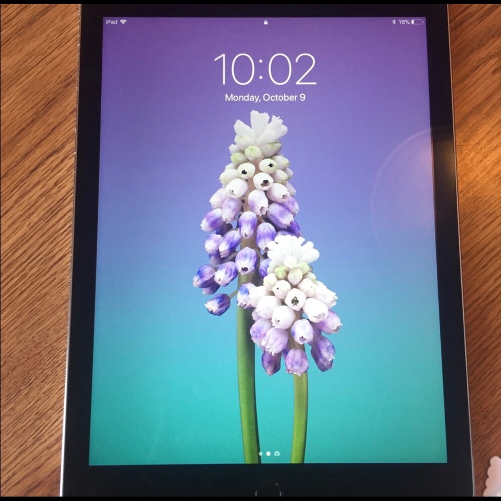iPad Air 2 w/ accessories